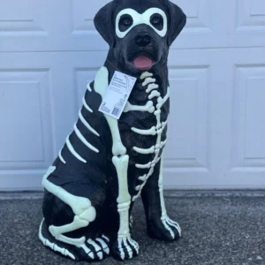 Glow-in-the-Dark Black Lab Halloween Decor
