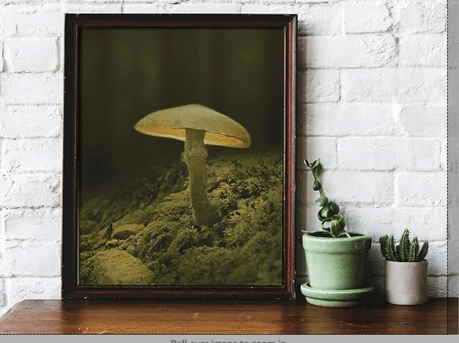 Framed photograph of a luminous mushroom growing on moss, enhancing rustic decor against a white brick wall with indoor plants nearby.