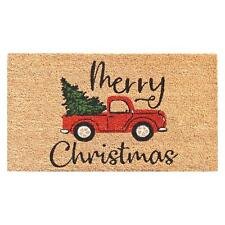 AZ106331729 Christmas Fun Doormat 17" x 29" Multicolor