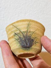 Kyosuke Hayashi sake cup guinomi | Ki-Seto contemporary Japanese pottery