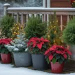 festive outdoor container decorations