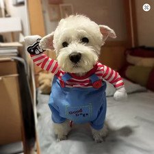 Funny Halloween Costume for Small Dogs