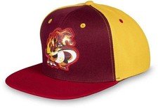 Pokémon Gigantamax Charizard Fire Red Orange Flat Bill Cap Hat One Size Adult LE