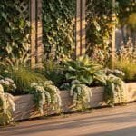 transform your yard privacy