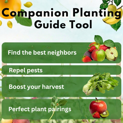 Companion planting guide tool featuring tips to find plant pairings, repel pests, and boost harvests for successful gardening.