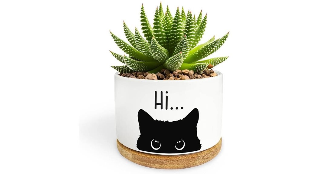 black cat planter pot