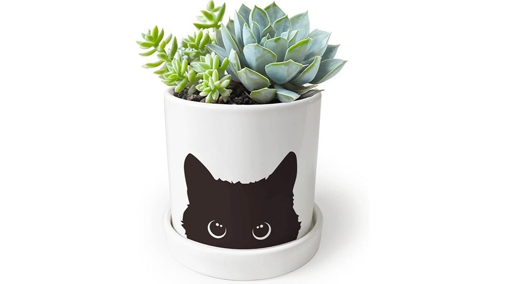 drainage pot for succulents