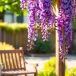 flowering climbing plants selection