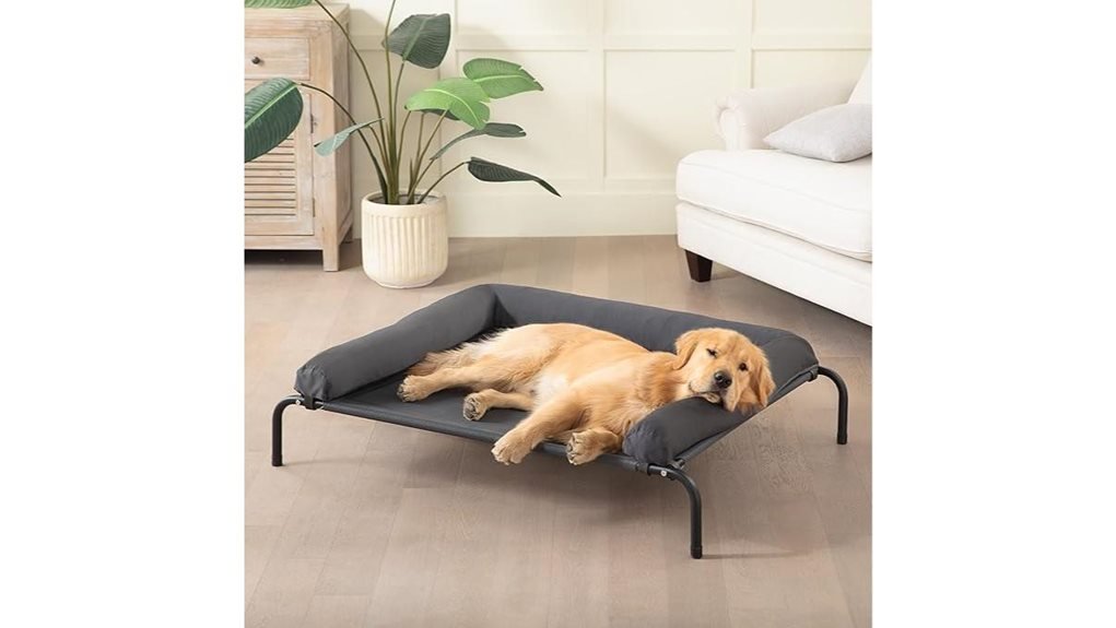 elevated bed for dogs