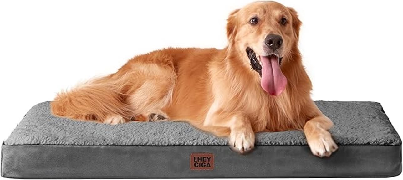 extra large dog bed