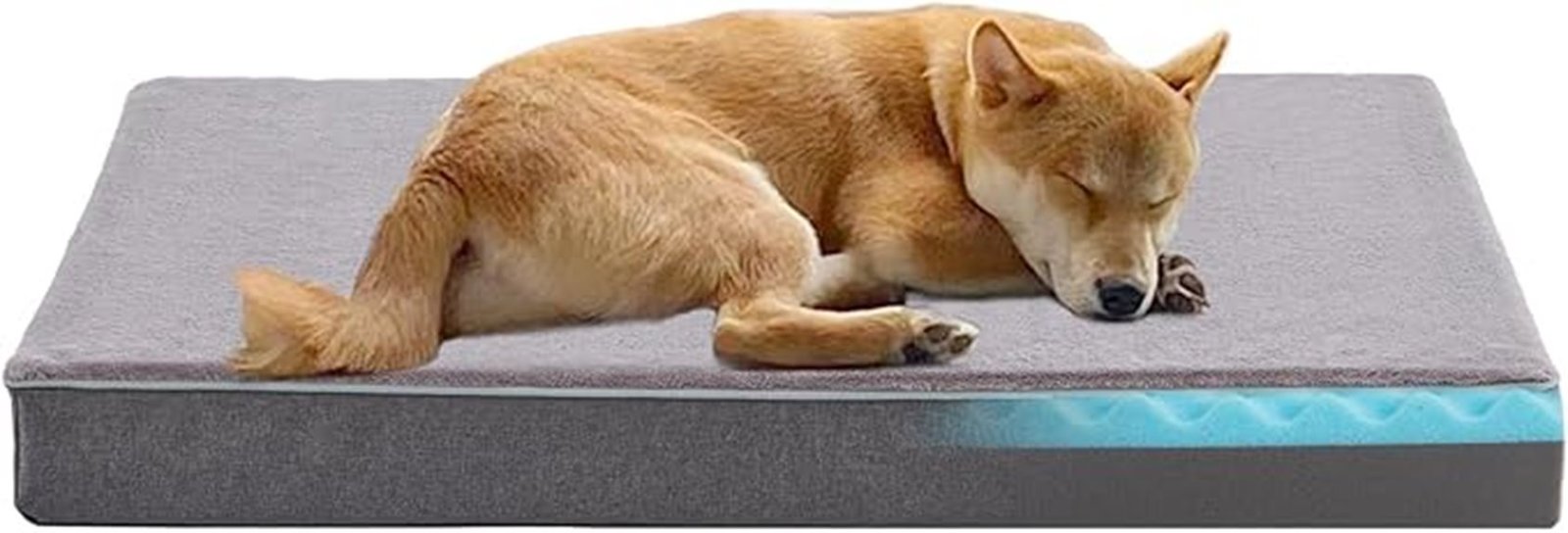 large orthopedic dog bed