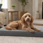 Cozy dog lounging on a soft bed in a modern living room, surrounded by stylish decor and natural light. Perfect pet comfort and home aesthetics.