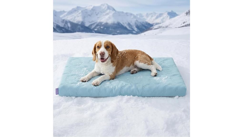 spacious cooling dog bed