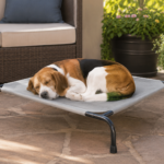 Beagle sleeping comfortably on a raised dog bed in a cozy outdoor setting, surrounded by plants and a stylish patio.