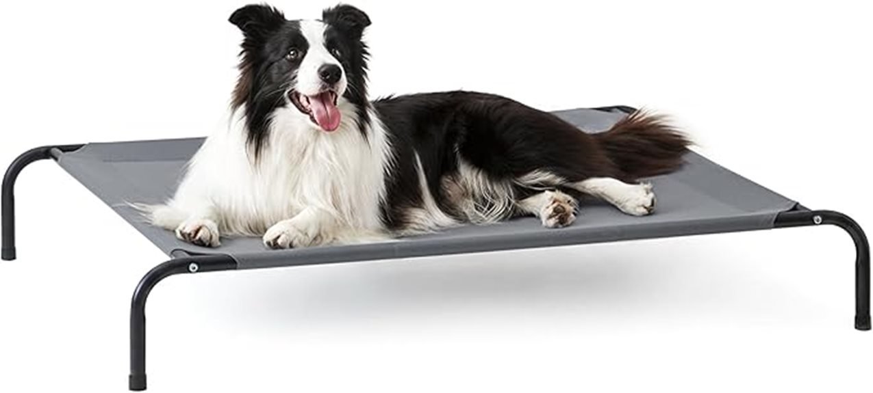 cooling bed for dogs