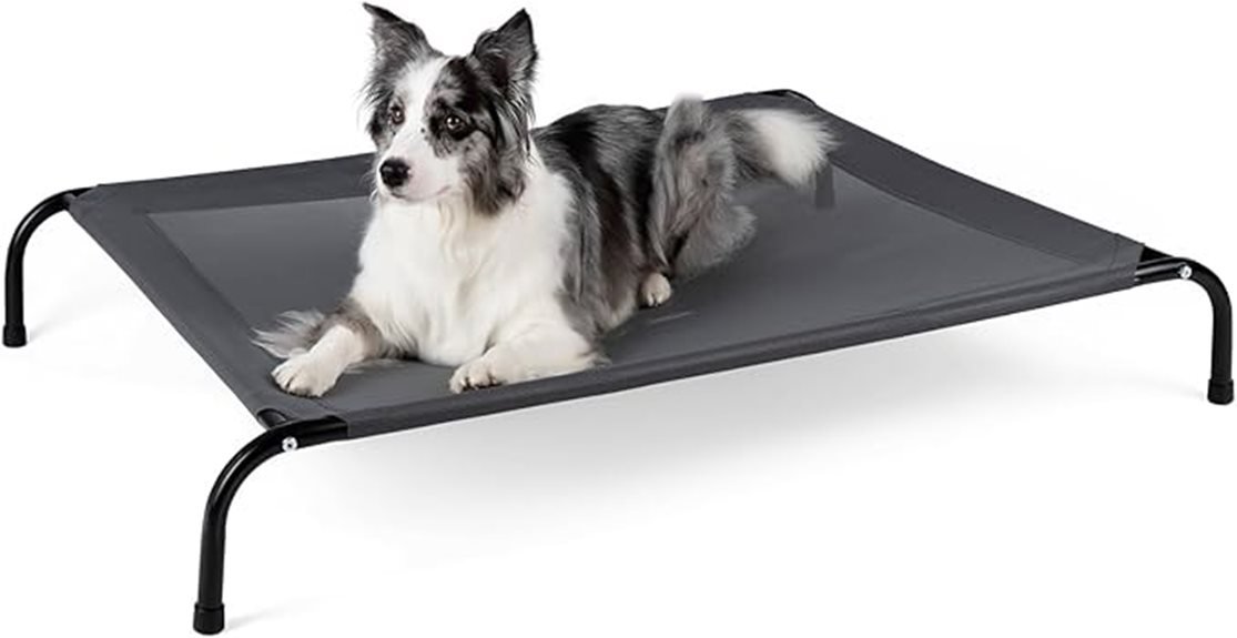 elevated bed for dogs