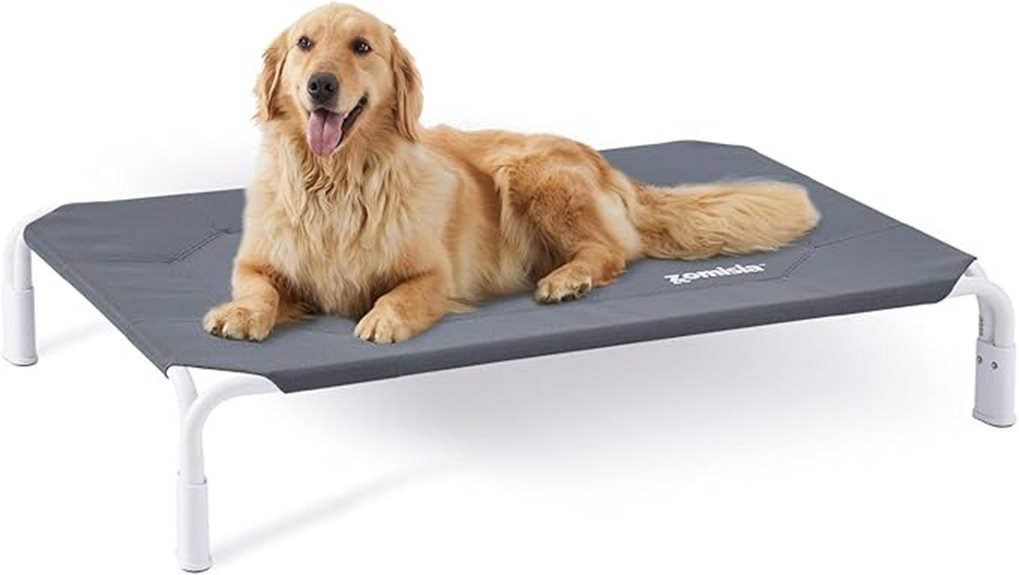 elevated bed for dogs