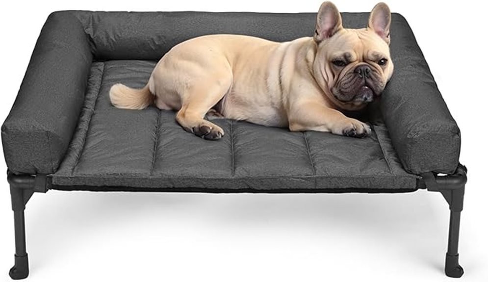 elevated dog bed comfort