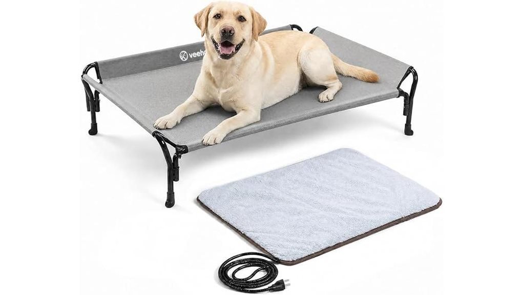 heated elevated dog bed