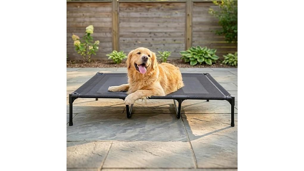 large dog elevated bed