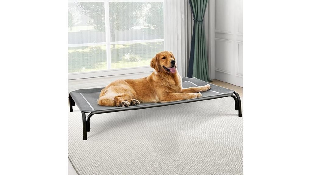 large dog elevated bed
