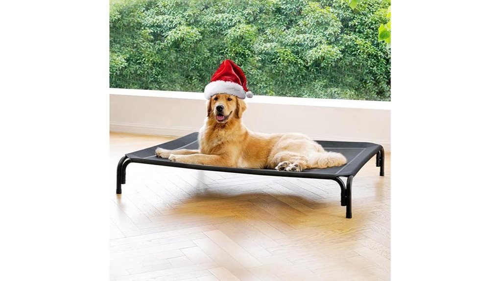 large elevated dog bed