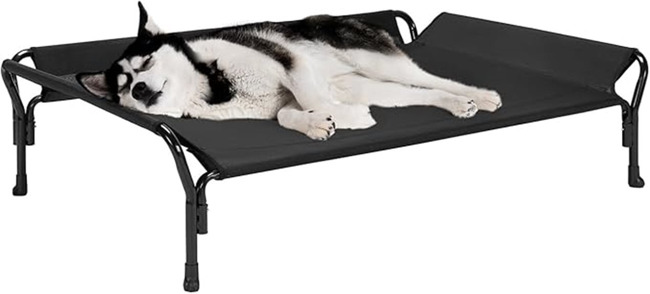 large elevated dog bed