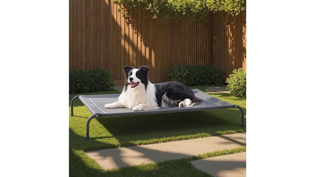 large grey elevated dog bed