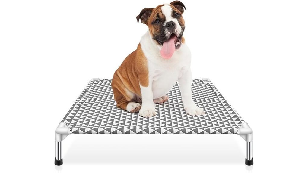 medium elevated dog bed