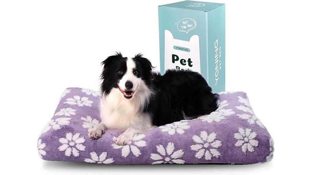 washable cover dog bed