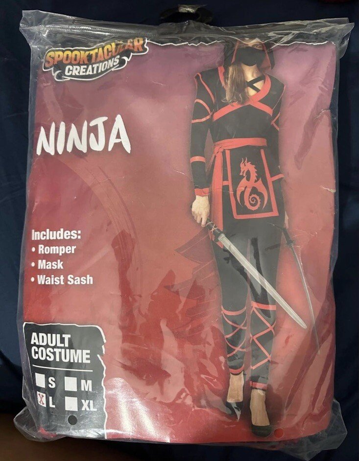 Hidden Ninja Warrior Women's Costume