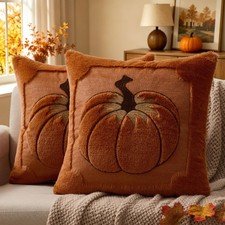 Embroidered Fall Pillow Covers Set
