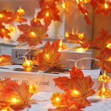 Fall Maple Leaf Pumpkin String Lights Set